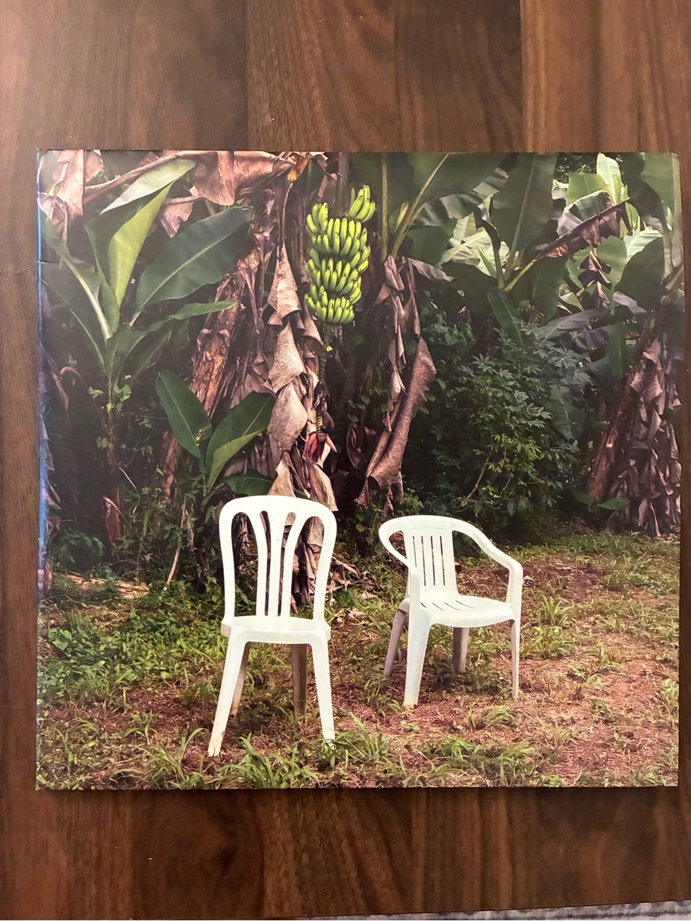 DeBÍ TiRAR MáS FOToS Double Vinyl Gatefold (Blue)
